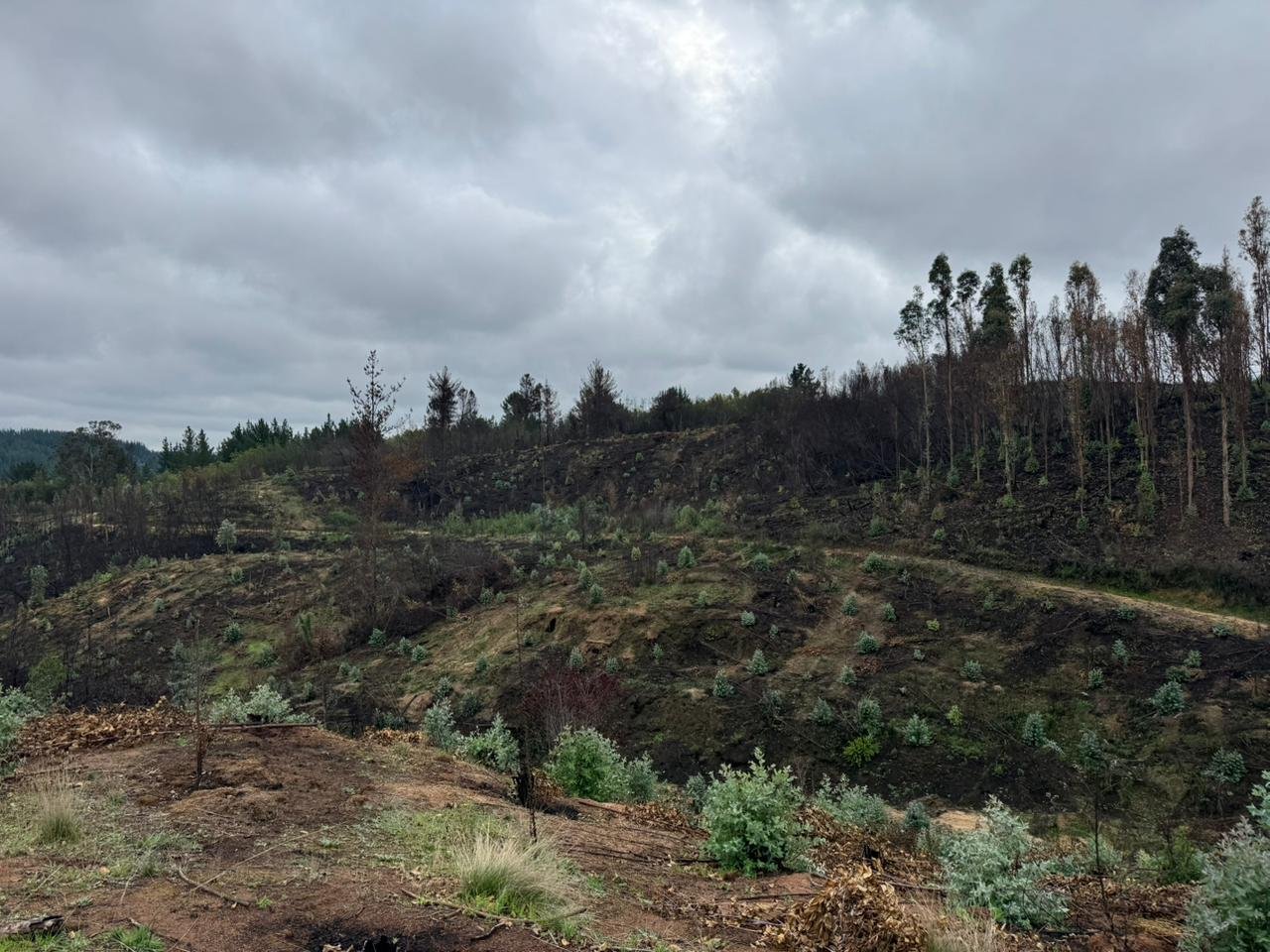 Terreno de Vista Manque